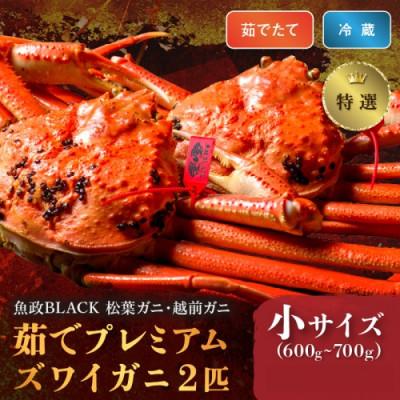 ふるさと納税 京丹後市 プレミアムズワイガニ 魚政BLACK(松葉ガニ・越前ガニ)特撰 小サイズ2匹(2026年1月〜発送)
