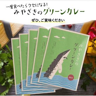 みやざきのグリーンカレー　5個セット