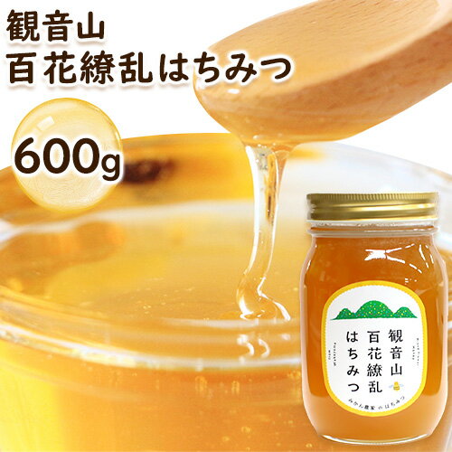【ふるさと納税】観音山百花繚乱はちみつ600g 有限会社柑香園《30日以内に出荷予定(土日祝除く)》和歌山県 紀の川市 蜂蜜 ハチミツ ローハニー