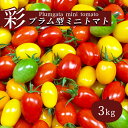 【ふるさと納税】ミニトマト 3kg カラートマト トマト プラム型