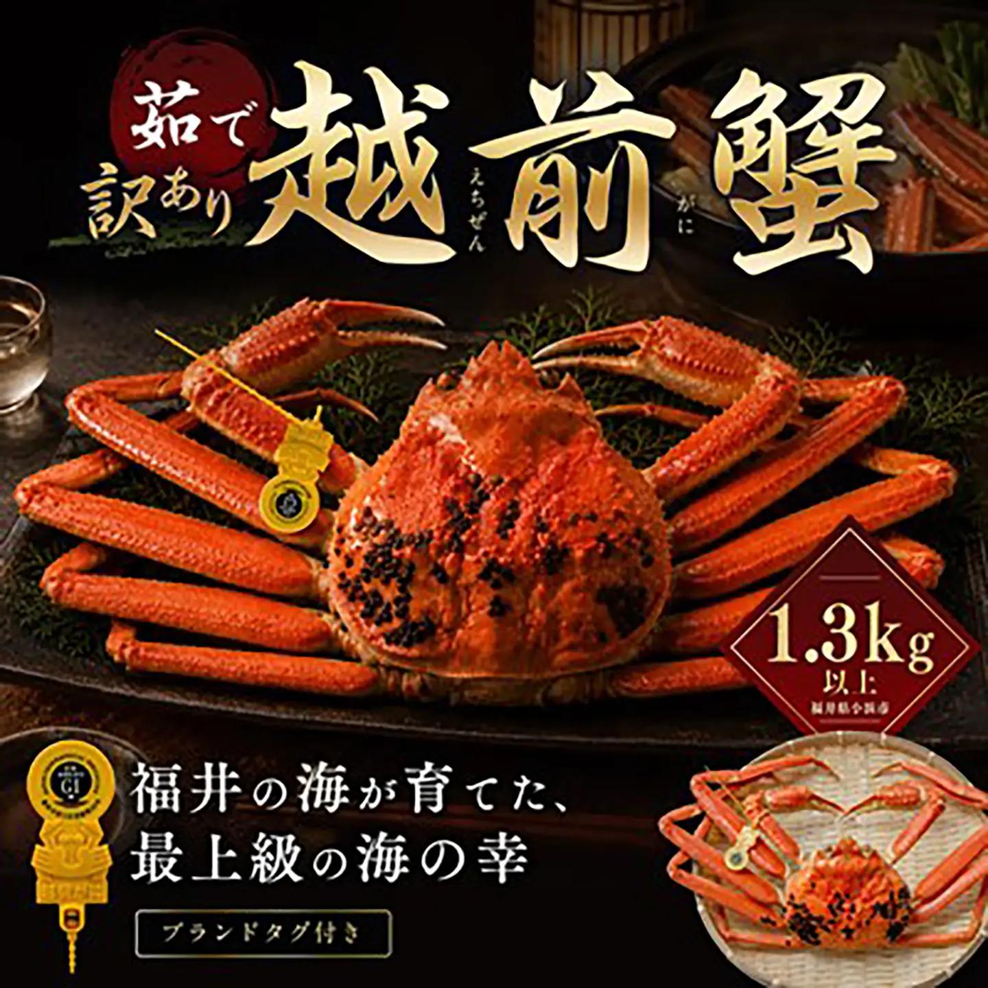 【先行予約/11月18日より順次配送】【訳あり】越前がに 1.3kg×1杯 茹で 福井県産ズワイガニ 脚折れ・欠け / かに カニ 蟹 越前ガニ ズワイガニ ボイル / 小浜市 / 一進わかさ【配送不可地域:北海道・沖縄・離島】[BFES031]