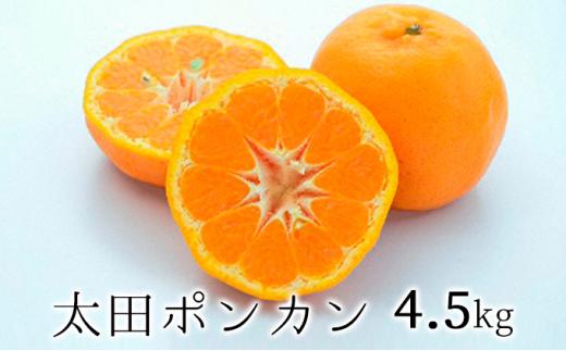 【2025年1月より順次発送】静岡県清水生まれの美味しい柑橘・太田ポンカン 4.5kg