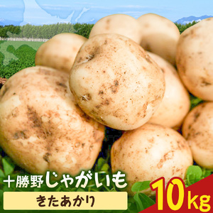 【先行予約】 北海道 十勝野 じゃがいも きたあかり 10kg 芋 いも