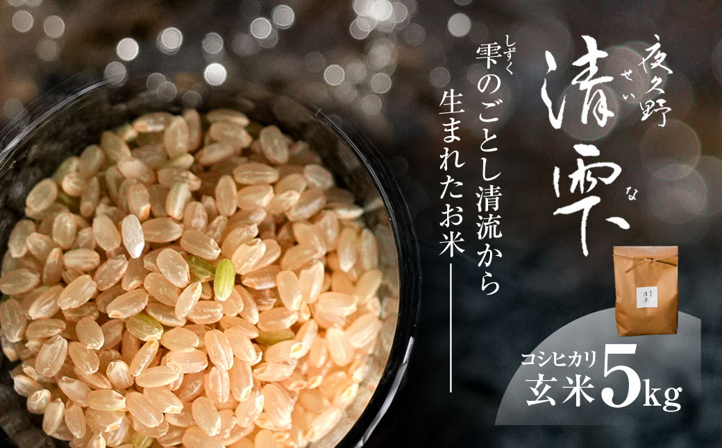 ＜令和7年産＞ 京都夜久野産 清雫(せいな) コシヒカリ 玄米 (5kg) ふるさと納税 福知山市 特産品 令和7年度産 先行 定期便 選べる 容量 回数 玄米 夜久野 京都 【fc-DB005-B】【合同会社夜久野清雫】