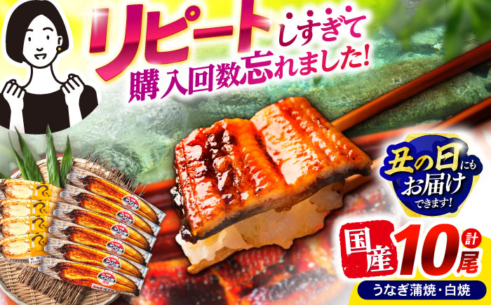 【最速発送】＜諫早淡水＞うなぎ蒲焼6尾＆白焼き4尾セット / うなぎ ウナギ 鰻 蒲焼き 蒲焼 白焼き 白焼  国産 冷凍 小分け うな重 うな丼 ひつまぶし / 諫早市 / 活うなぎ問屋 諫早淡水 [AHAT009]スピード 最短 最速 発送 丑の日 土用丑の日