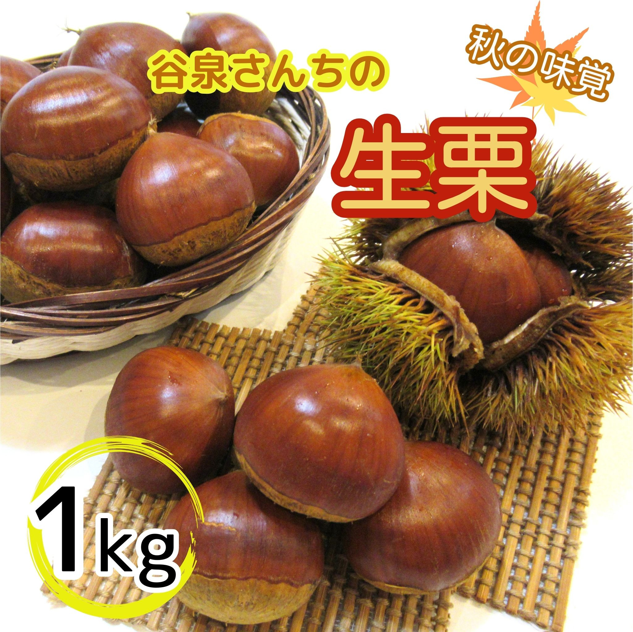 
            谷泉さんちの生栗1kg【数量限定】　《10月上旬-10月末頃出荷予定》　【配送不可地域あり】※離島不可　ふるさと納税 栗 ふるさと納税 茹で柿 くり クリ 生栗 秋の味覚 旬
          