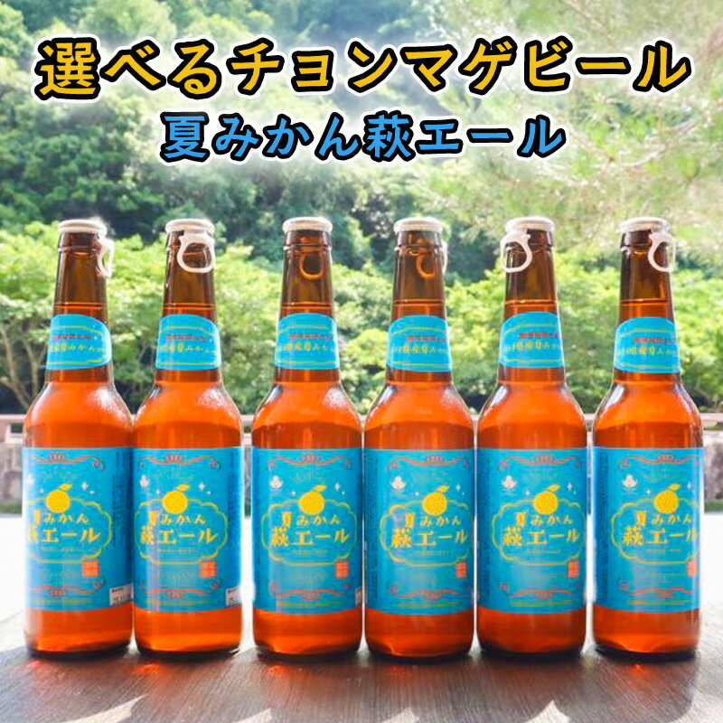 【ふるさと納税】【選べる！】城下町・萩の地ビール／夏みかん萩エール