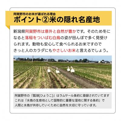 ふるさと納税 阿賀野市 【令和7年産】新潟県阿賀野市産 新之助 5kg 米杜氏 壱成 白米 精米 |  | 03