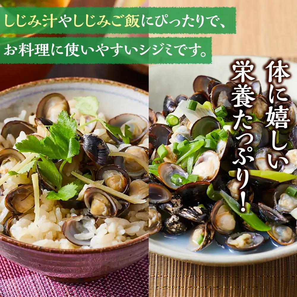 漁師直送！宍道湖産ヤマトシジミ・Lサイズ 冷凍 2kg ）| しじみ