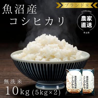 ふるさと納税 魚沼市 【令和8年産】ブランド米　魚沼産コシヒカリ　無洗米　10kg(5kg×2袋)