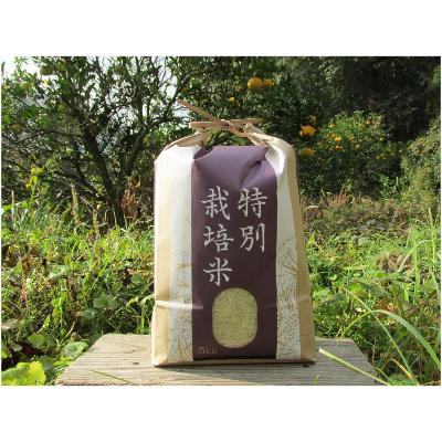 ふるさと納税 上郡町 【栽培期間中農薬不使用】2026年兵庫県産もち米「はりまもち」白米5kg