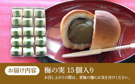 【老舗の菓子屋 鹿の子】築上銘菓「 梅の実 」15個《築上町》【有限会社　御菓子司　鹿の子】 [ABAC004] 和菓子おすすめ 人気和菓子 こだわり和菓子 自宅用和菓子 和菓子お取り寄せ 和菓子ギフ