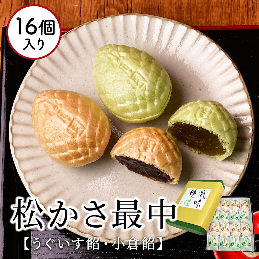 【ふるさと納税】梅月園 松かさ 最中 16個入
