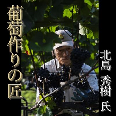 ふるさと納税 余市町 【ワイン】葡萄作りの匠「北島秀樹」&「宍戸富二」ツヴァイゲルト飲み比べセット_Y034-0093 |  | 01