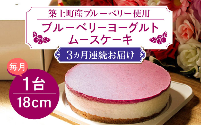 
            【全3回定期便】【築上町産ブルーベリー使用】 ブルーベリー ヨーグルト ムース ケーキ《築上町》【(有)工房よしかわ】 国産 ブルーベリー [ABAK004] 37000円 3万7千円
          