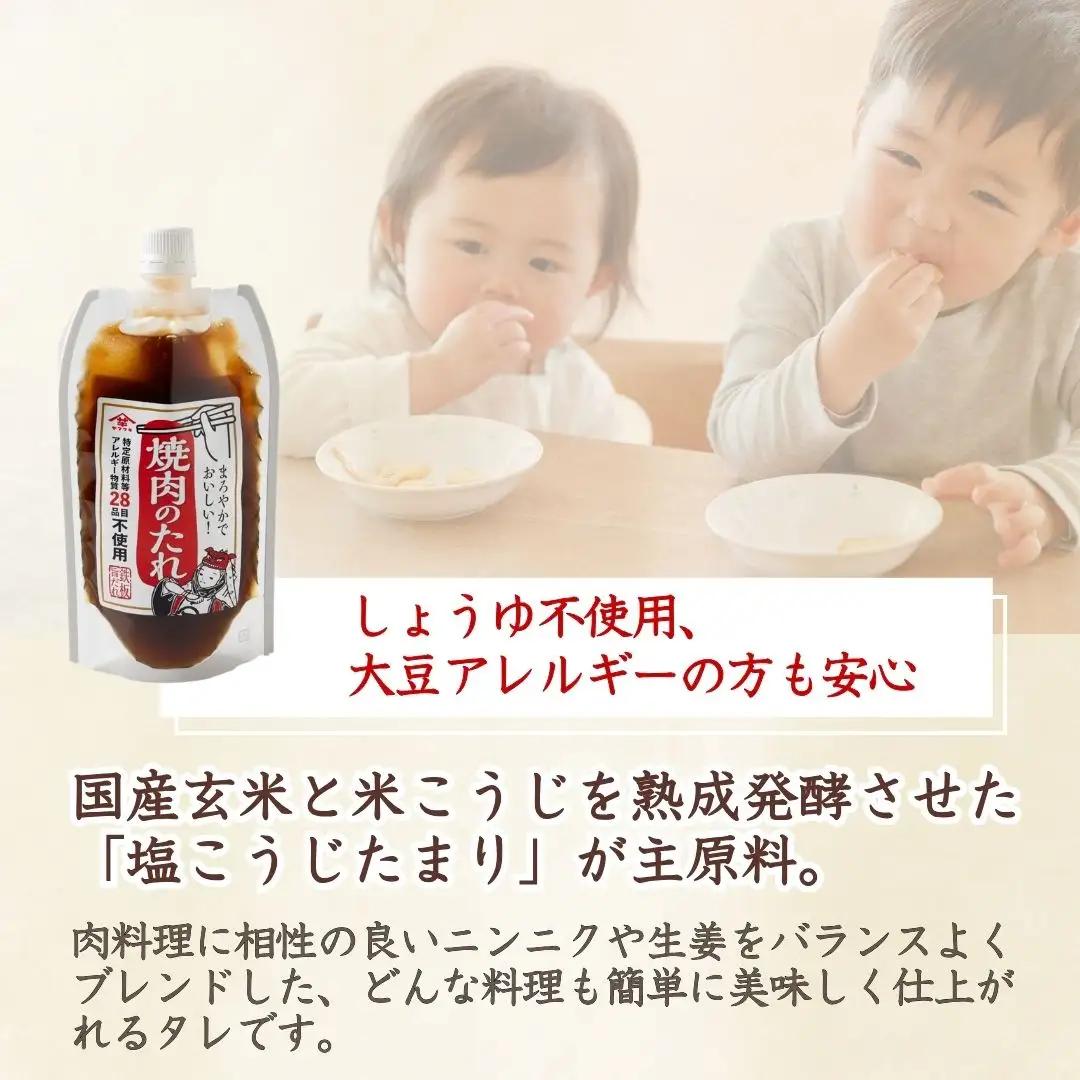 【特定原材料等アレルギー物質28品目不使用】焼肉のたれ (250g×6個入) 家族で使えるお肉の万能だれ 山崎醸造