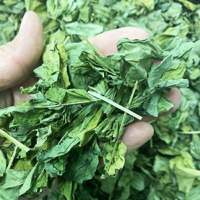 ふるさと納税 北広島町 合鴨玄米はぶそう茶4袋セット |  | 01
