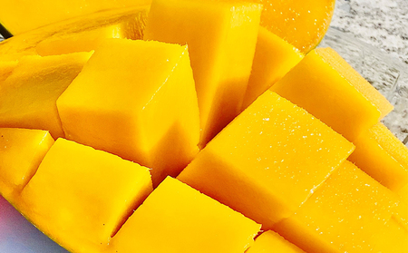 【2024年発送】久米島印商店 久米島産キーツマンゴー 約2kg