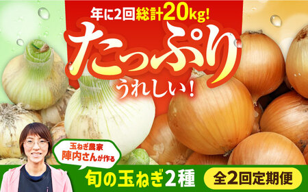 【先行予約 2027年3月～発送】【2回定期便】玉ねぎ定期便 10kg/回 / 玉ねぎ [IAO027]