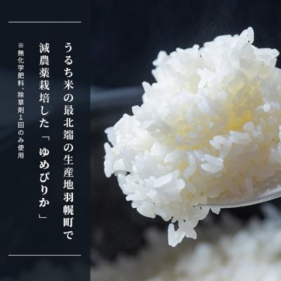 ふるさと納税 羽幌町 【2026年産新米】【定期便:3回】北海道ゆめぴりか10kg(無化学肥料、除草剤一回)【25190】 |  | 01