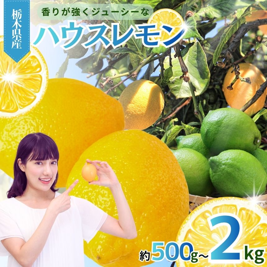 【ふるさと納税】【先行予約】真岡市産 ハウス レモン 選べる kg数｜2kg 1kg 500g 2026年11月~ れもん グリーン 酸味 香り 強い イエロー 糖度 高い 果汁 ノーワックス 防腐剤 防カビ剤 不使用 皮ごと 国産 真岡市 栃木県 限定 送料無料