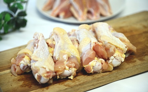 京赤地どり 手羽元 500g×6パック 合計3kg 北海道・沖縄・その他離島は配送不可 [013CS001]