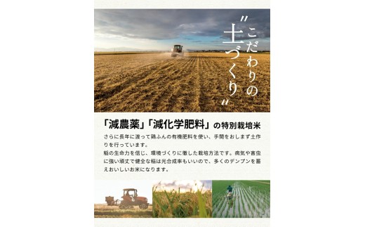 1月中旬配送／令和8年産【玄米】つや姫マイスターが作った 特別栽培米『つや姫』10kg(5kg×2袋)［減農薬・減化学肥料］ MA SB1177