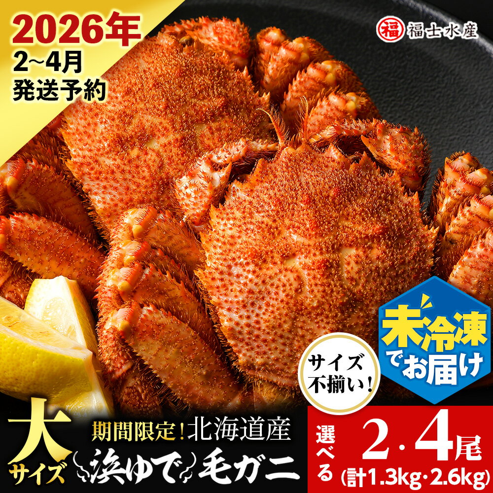 【ふるさと納税】【2026年発送予約】チルドでお届け！ 浜茹で毛ガニ中サイズ 選べる2尾～4尾 （不揃い合計約1.3kg～2.6kg） 〈福士水産〉北海道ふるさと納税 利尻富士町 ふるさと納税 北海道 かにふるさと納税 北海道 カニ ふるさと納税 北海道 毛ガニ 毛蟹 冷蔵 新物