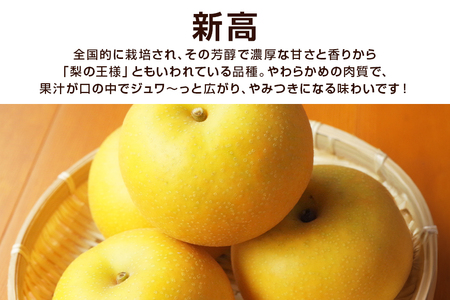 柴沼梨園の梨（新高） 梨 5kg 大玉 6～14個入り ナシ なし 国産 茨城 新高梨 秋 旬 フルーツ 果物 先行予約【9月下旬～10月上旬発送】秋の味覚 旬の果物 くだもの 大きい サイズ 品種 