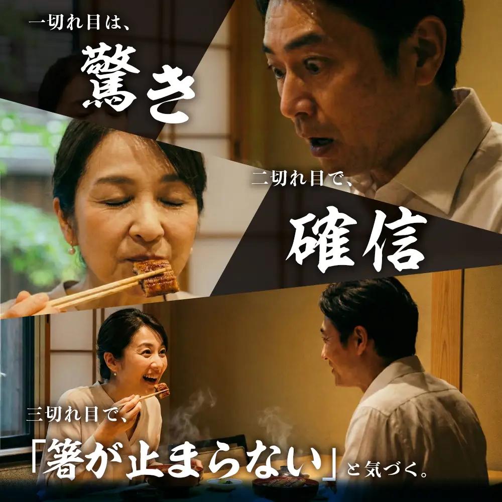 特上 幻の青うなぎ 2尾 うなぎ 丑の日 田原市