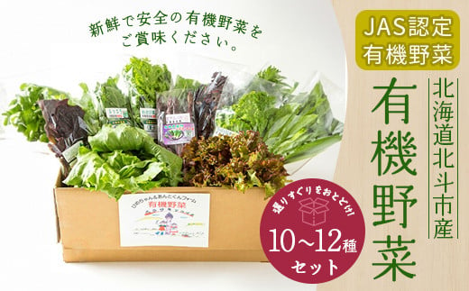 【JAS認定有機野菜】北斗市産 有機野菜10～12種類野菜セット 紙箱入(季節で種類が変わります) ふるさと納税 人気 おすすめ ランキング 野菜 詰め合わせ セット 有機野菜 有機栽培 紫からし菜 からし菜 わさび菜 玉レタス サニーレタス ルッコラ レッドオーク レッドロメイン グリーンオーク グリーンロメイン 紫アスパラ おいしい 新鮮 北海道 北斗市 送料無料HOKB021