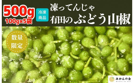 
                  【６月下旬出荷予定】冷凍山椒 凍ってんじゃ ぶどう山椒 500g ( 100g × 5袋 ) 和歌山県産 【みかんの会】
                