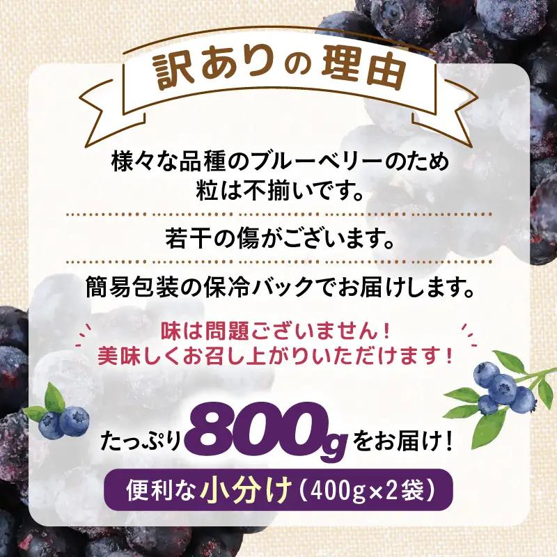 【先行予約】【訳あり】【冷凍】あわらフルーツランドのブルーベリー たっぷり 800g 便利な400g×2袋 【完熟】 / フルーツ 果物 くだもの 冷凍 小分け 完熟 ご当地 国産 おすすめ ※202