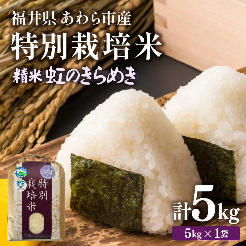 【ふるさと納税】【令和7年産】化学肥料不使用 特別栽培米 虹のきらめき 精米 5kg / 白米 米 福井県あわら市産 美味しい 特別栽培米 減農薬 安心な米 旨味 甘み もっちり 冷蔵保管米