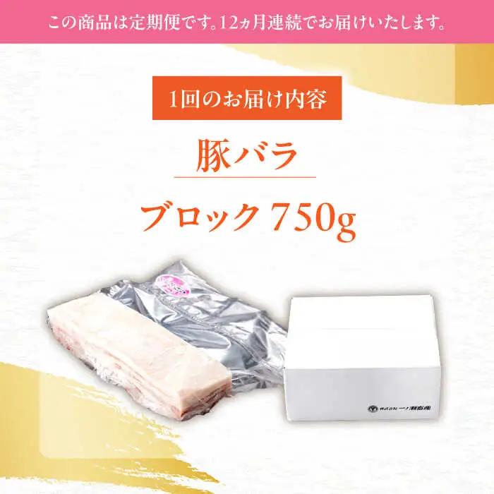 【定期便】 豚肉ブロック 総計9kg NAC615 豚肉 全12回