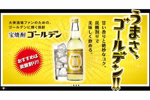 BE175宝焼酎「ゴールデン」25度 360ml✕12本入