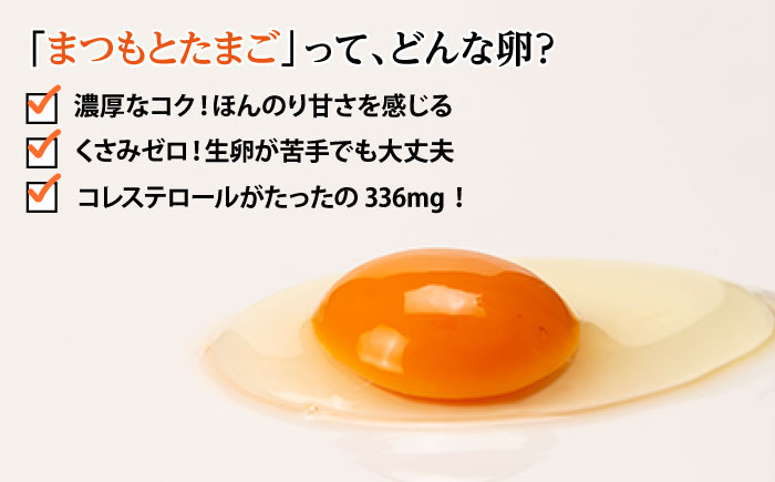 【月1回40個×6回 定期便 】 まつもとたまご ＆ 平飼い たまご 計240個＜松本養鶏場＞ [CCD023]