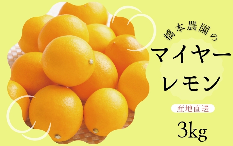 【先行予約】橋本農園のマイヤーレモン 3kg【2026年12月中旬から2027年1月中旬までに順次発送】【mht005A】