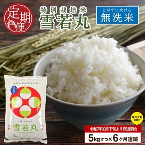 SJ0048　【6回定期便】令和7年産 無洗米 特別栽培米 雪若丸　5kg×6回(計30kg)10月下旬発送開始「農家直送」 KA