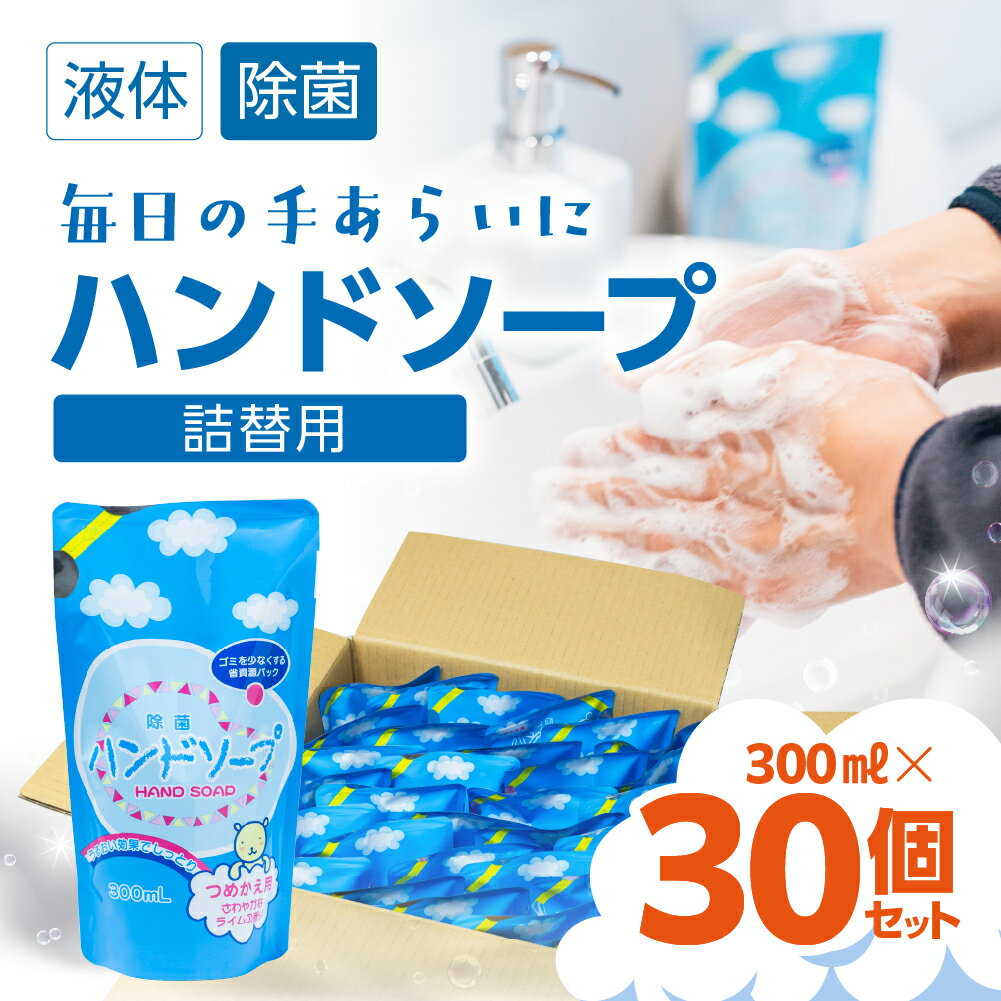 【ふるさと納税】300ml ×30個 ハンドソープ 詰め換え セット 液体 手洗い 石鹸 せっけん キレイ 泡立ち 除菌 保湿 日本製 子ども 子供 台所 キッチン 日用品 送料無料 たっぷり まとめ買い ストック [生活応援] [mt415] 15000円