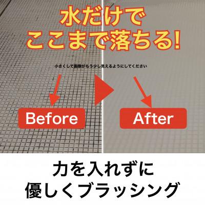 ふるさと納税 日進市 極線君　アジサイ |  | 01