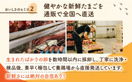 【全6回定期便】白たまご M玉 90個（85個＋5個割れ保証）【株式会社 かもと養鶏】タマゴ 玉子 熊本県 卵 国産 新鮮 しろたまご M玉 濃厚  [ZCA007]