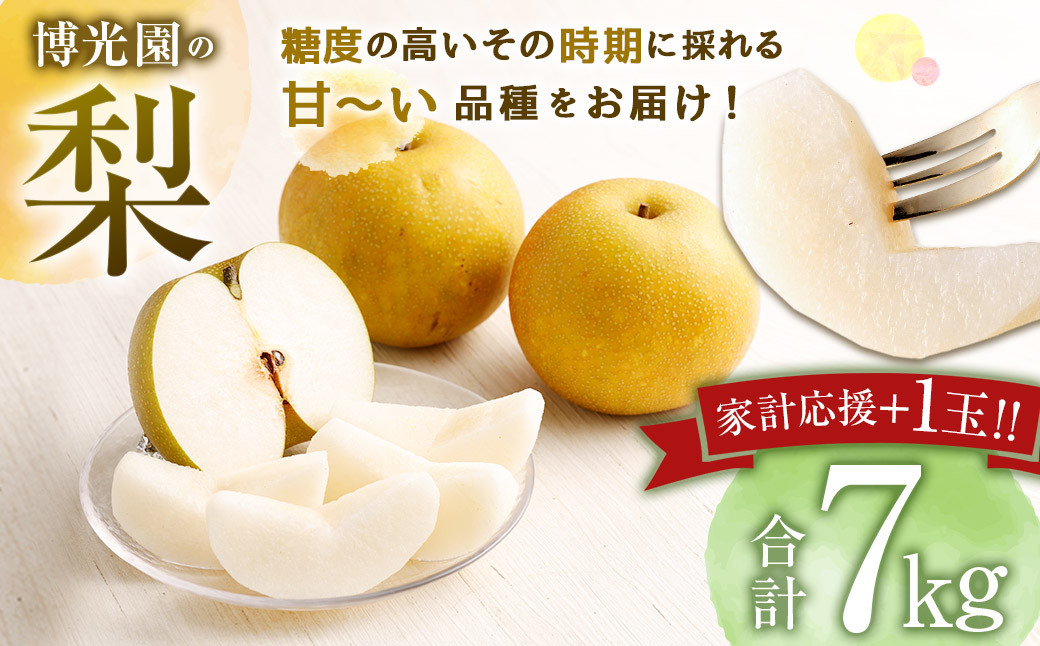 
                  【選べる配送月】【家計応援】【数量限定】梨 7.0kg+1玉 【2026年9月下旬-10月下旬迄発送予定】 豊水 20世紀 新高 新興 果物 フルーツ
                