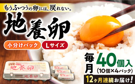 12回定期便 卵 Lサイズ 40個 | CBB004 卵