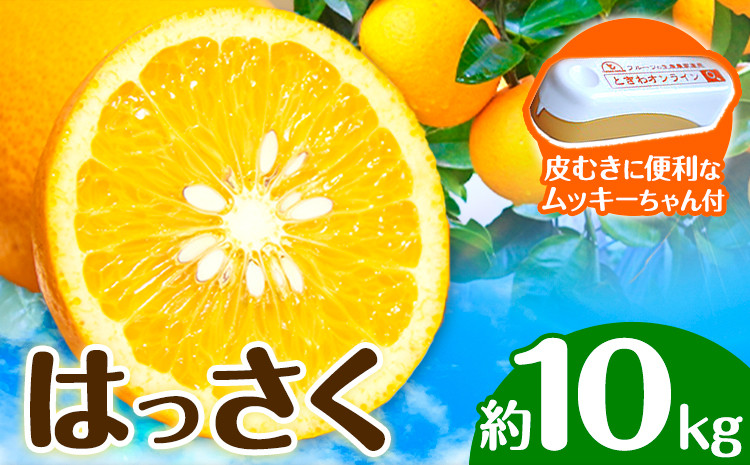 
                  はっさく 皮むきに便利なムッキーちゃん付き 約10kg ときわオンライン【先行予約】《2026年10月上旬-2027年2月中旬頃出荷》 和歌山県 紀の川市 フルーツ 果物 八朔 柑橘 送料無料
                