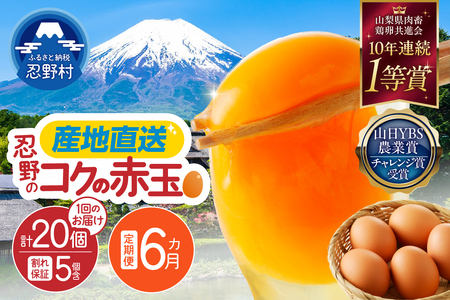 【6ヶ月定期便】富士山の麓で育った産地直送 ”忍野の卵”※卵15個+割れ保証5個　計120個