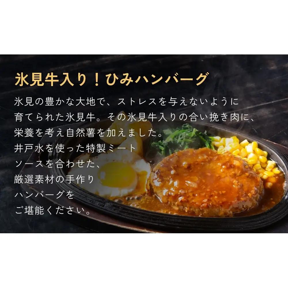 ひみハンバーグと煮干し粉のセット 富山県 氷見市 煮干 惣菜 調味料　ハンバーグ