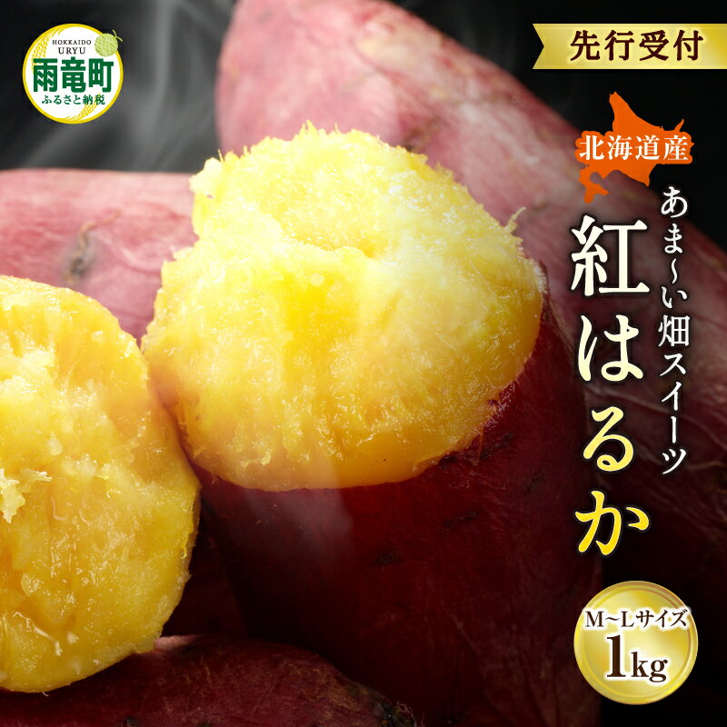 【ふるさと納税】【数量限定】なまら甘い！北海道雨竜町産 さつまいも 「紅はるか」 M-Lサイズ 1kg 小さめサイズ 産地直送 さつまいも サツマイモ 北海道 国産 おやつ お菓子作り 料理 北海道 雨竜町 送料無料