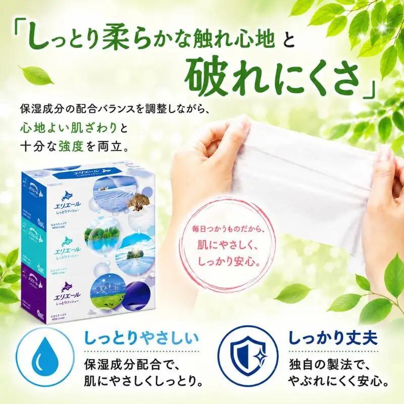 【2ヵ月連続お届け・計60箱】エリエール 北海道 しっとりティシュー なまらたっぷり 240組3箱 10パック ふるさと納税限定デザイン ボックスティシュー 箱ティッシュ ペーパー 備蓄品 花粉 保湿