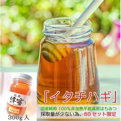 ふるさと納税 久慈市 【希少】「はちみつ イタチハギ 300g」国産 純粋 非加熱 無加糖 無添加 はちみつ